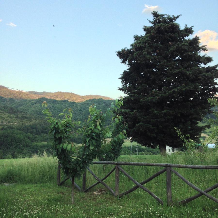 La Locanda Della Campanara Santa Sofia Luaran gambar